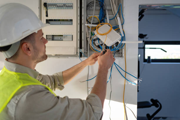 Best Electric Panel Repair  in Battlement Mesa, CO